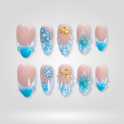 Aqua Shell